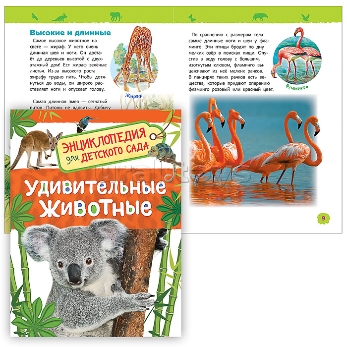 Удивительные животные (Энциклопедия для детского сада)